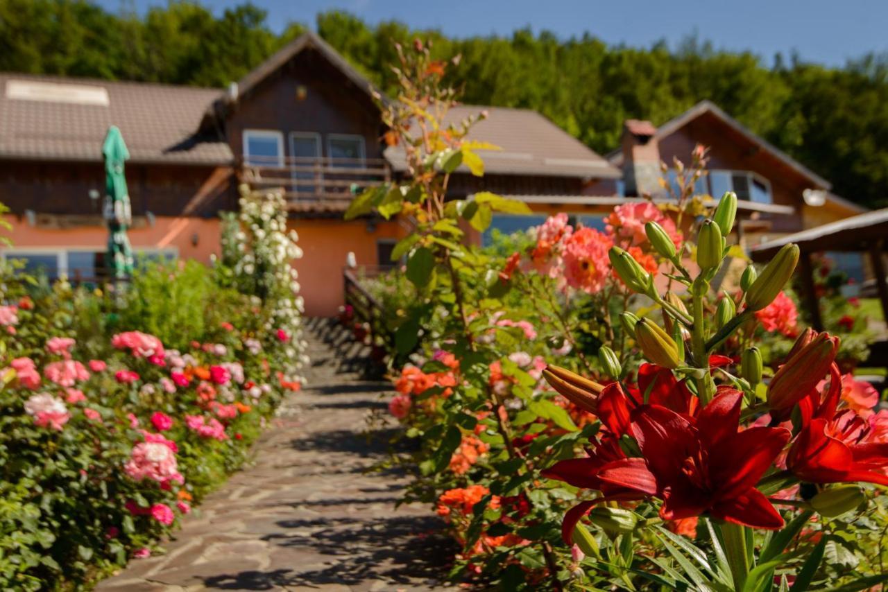 Dumbrava Ursului Hotel Zărneşti Екстериор снимка