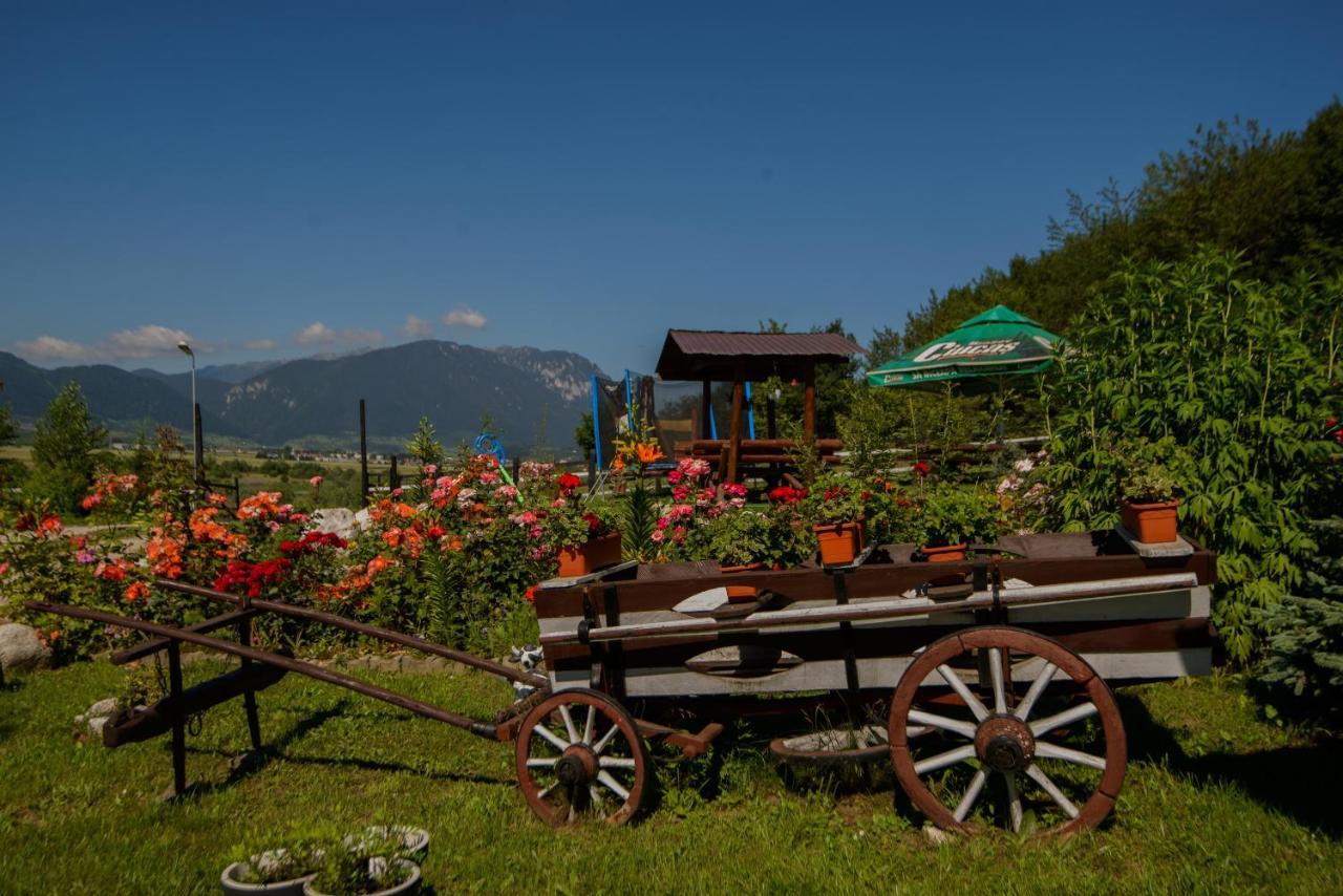 Dumbrava Ursului Hotel Zărneşti Екстериор снимка