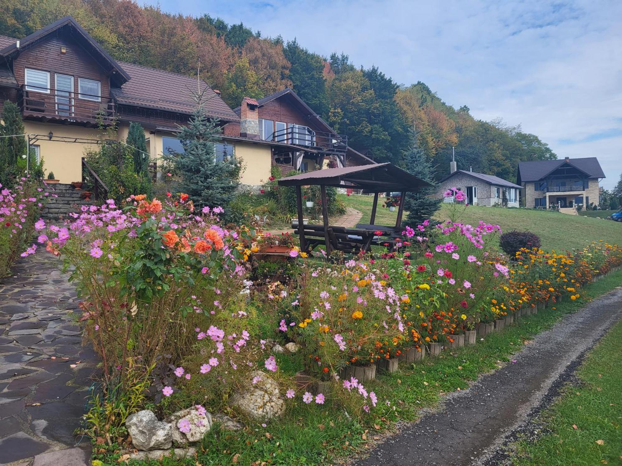 Dumbrava Ursului Hotel Zărneşti Екстериор снимка