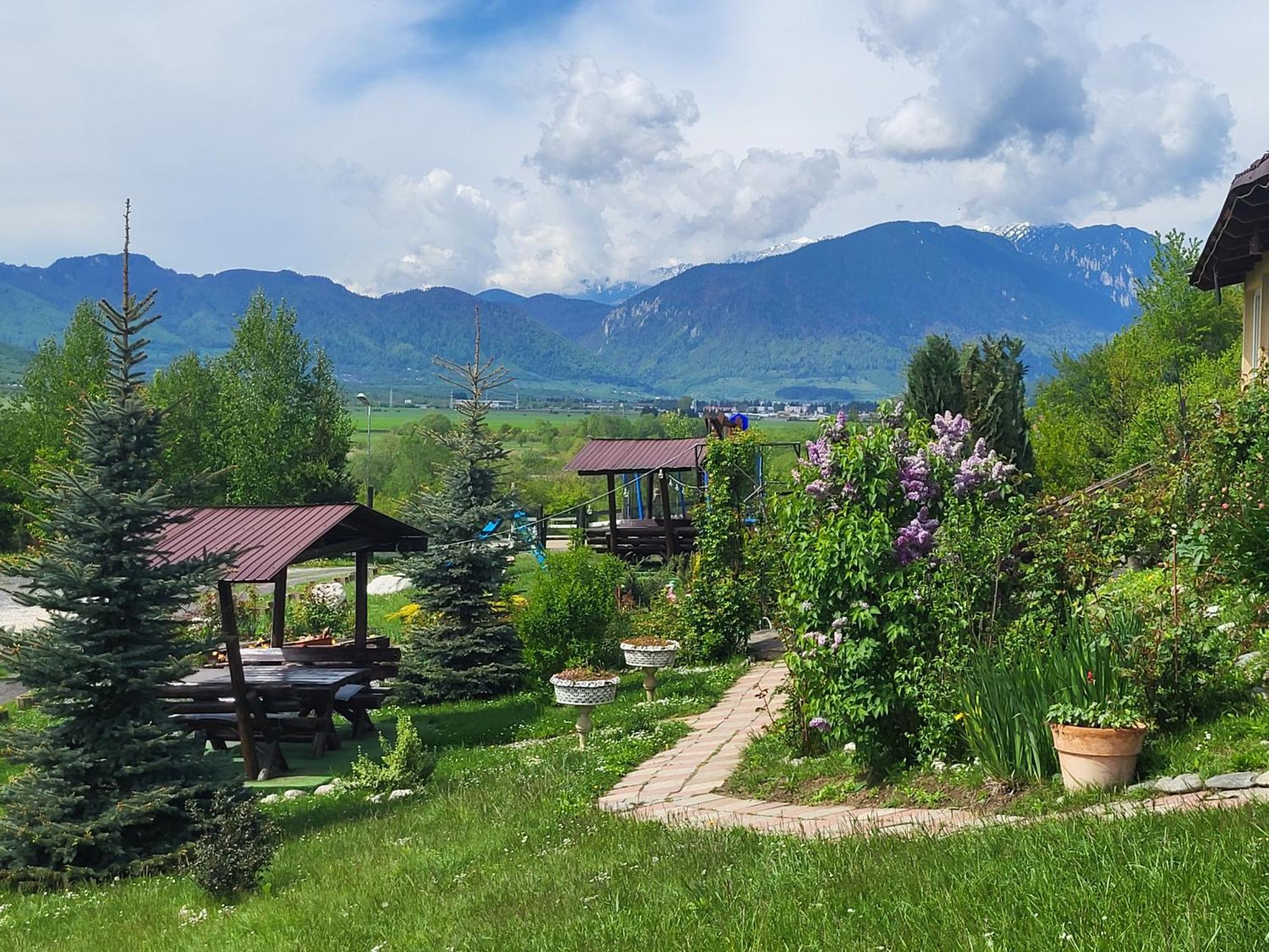 Dumbrava Ursului Hotel Zărneşti Екстериор снимка